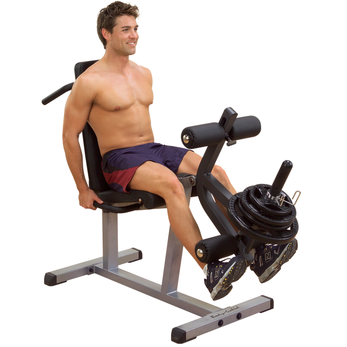 Body Solid GLCE365 Seated Leg Extension & Supine Curl
