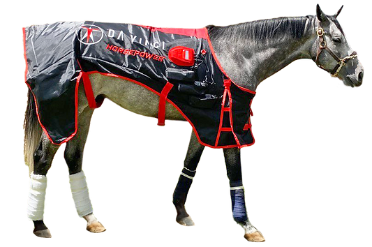 Da Vinci HORSEPOWER™ Horse PEMF Therapy Blanket